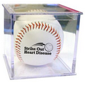Official Size Polyurethane Leather Baseball w/Acrylic Case